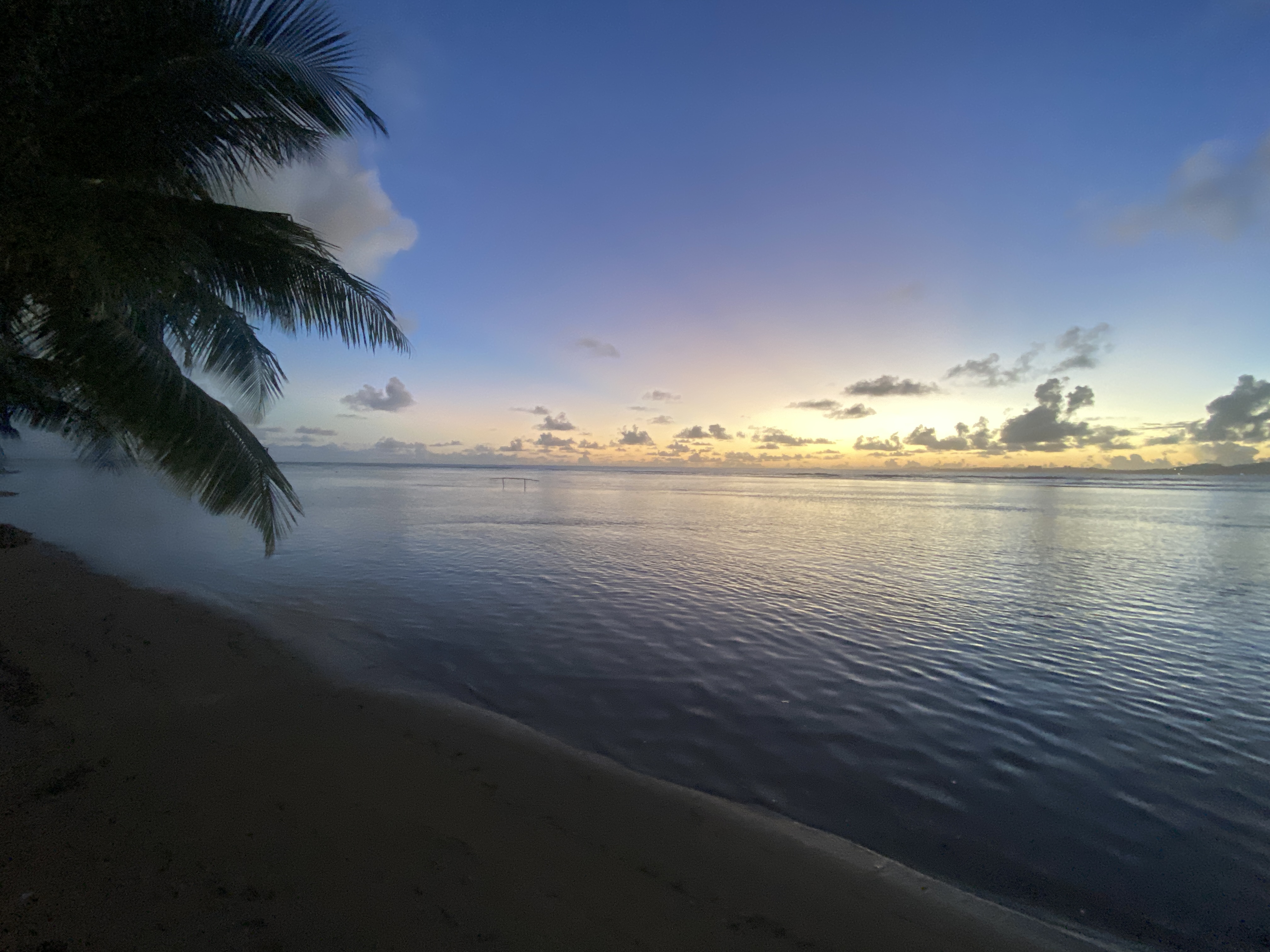 IMG 9913 69d0359638521